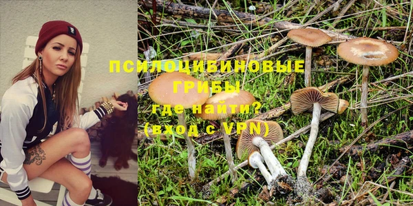 PSILOCYBIN Балабаново