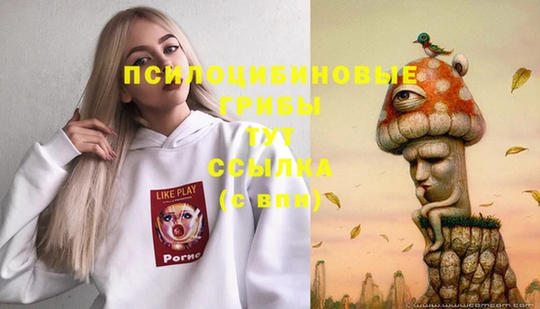 PSILOCYBIN Балабаново