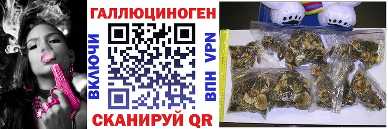 Псилоцибиновые грибы прущие грибы  наркошоп  Фокино 